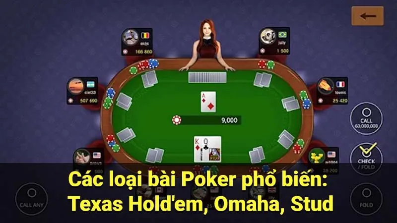 Các loại bài Poker phổ biến: Texas Hold'em, Omaha, Stud