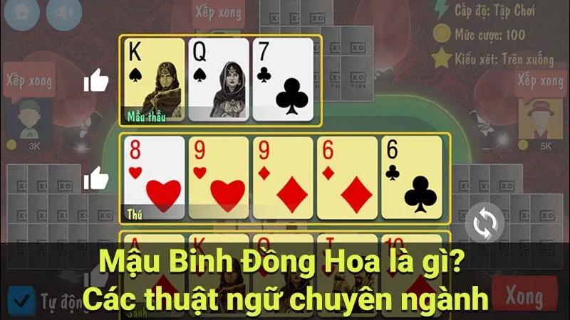 Mậu Binh Đồng Hoa là gì? Các thuật ngữ chuyên ngành